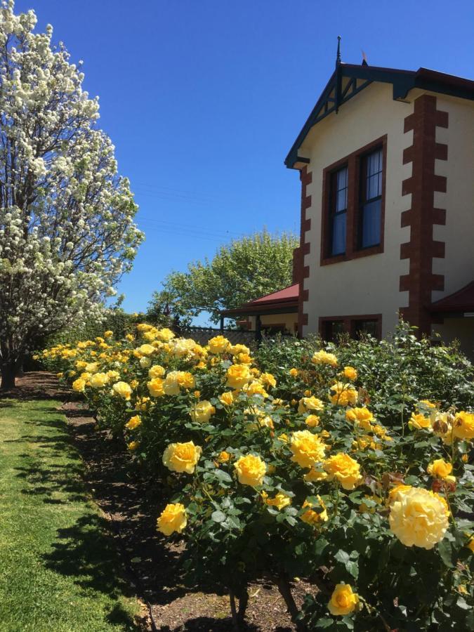 Wine And Roses Bed And Breakfast Аделаида Экстерьер фото