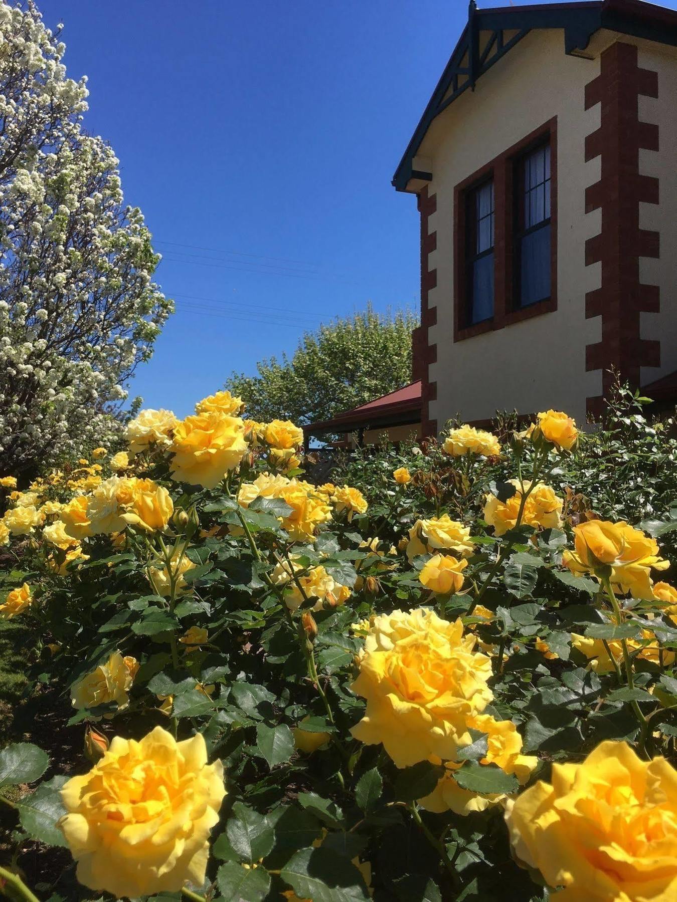 Wine And Roses Bed And Breakfast Аделаида Экстерьер фото